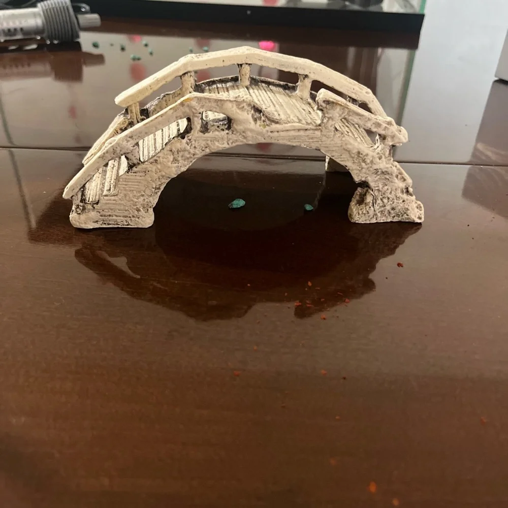 Glass Fish Tank with Accessories